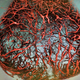 An illustration of the replica human blood vessels created by scientists.